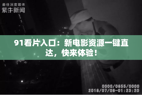 91看片入口：新电影资源一键直达，快来体验！