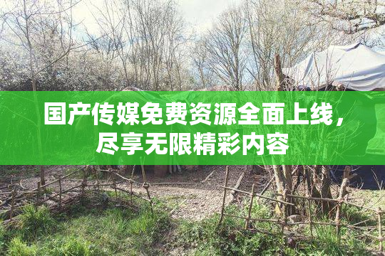 国产传媒免费资源全面上线，尽享无限精彩内容