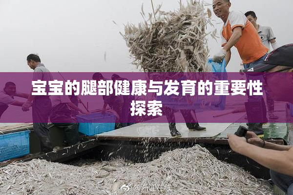 宝宝的腿部健康与发育的重要性探索