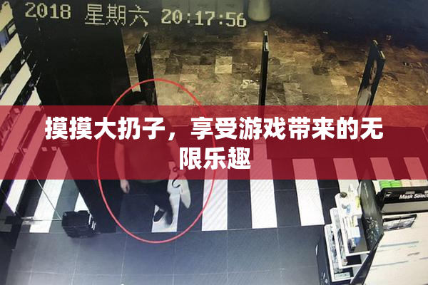 摸摸大扔子，享受游戏带来的无限乐趣