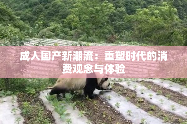 成人国产新潮流：重塑时代的消费观念与体验