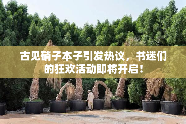 古见硝子本子引发热议，书迷们的狂欢活动即将开启！