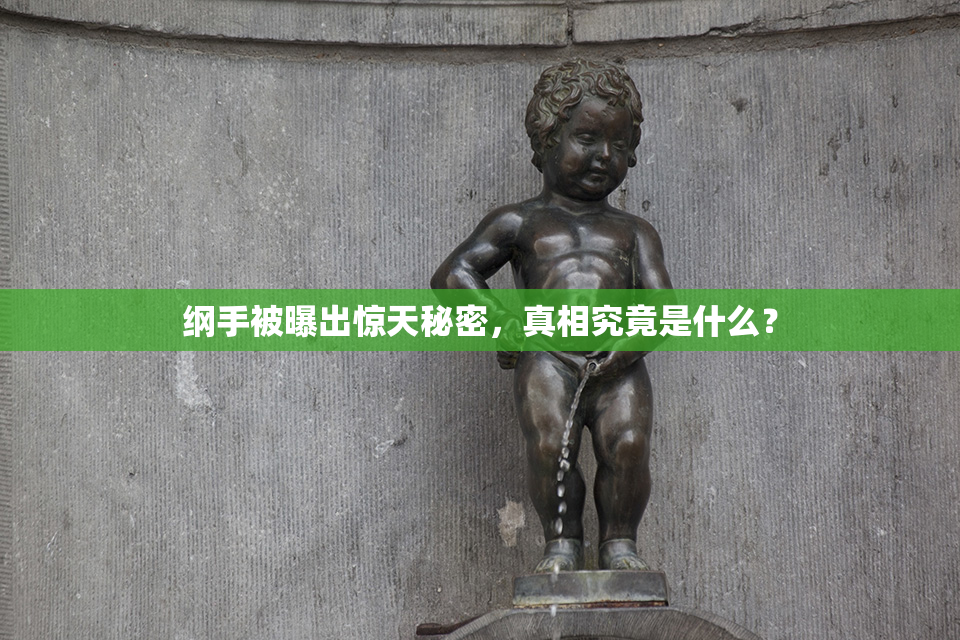 纲手被曝出惊天秘密，真相究竟是什么？