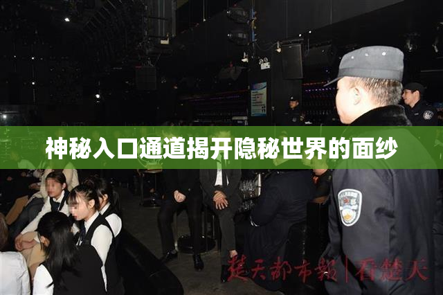 神秘入口通道揭开隐秘世界的面纱