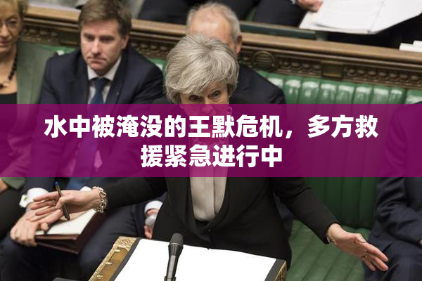 水中被淹没的王默危机，多方救援紧急进行中