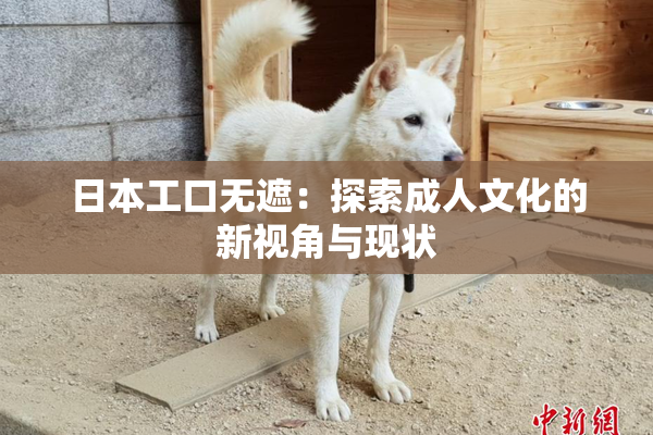 日本工口无遮：探索成人文化的新视角与现状