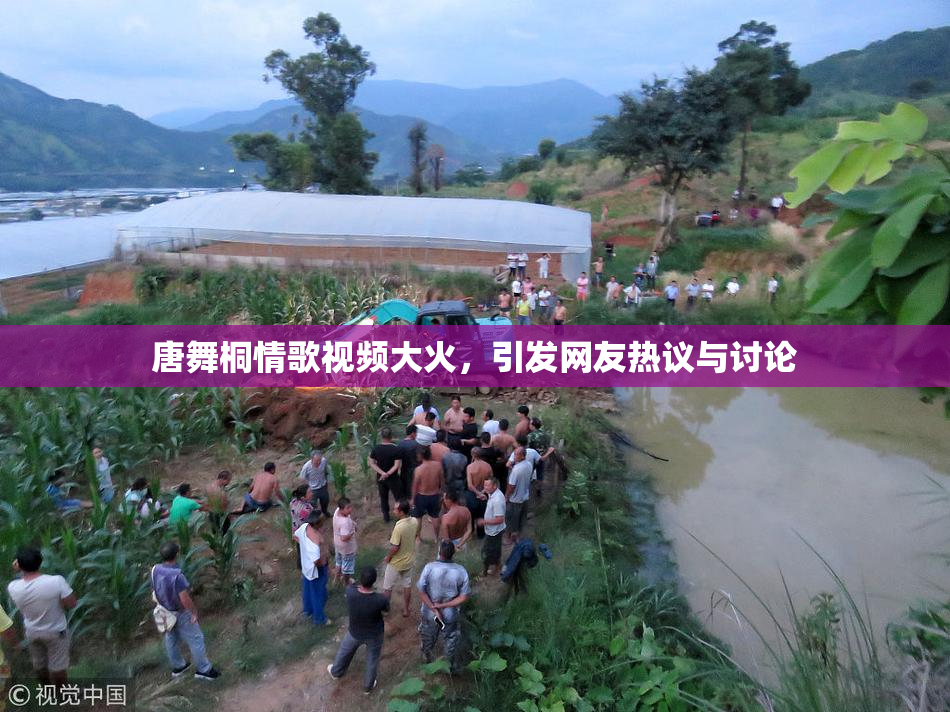 唐舞桐情歌视频大火，引发网友热议与讨论