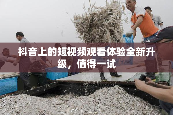 抖音上的短视频观看体验全新升级，值得一试