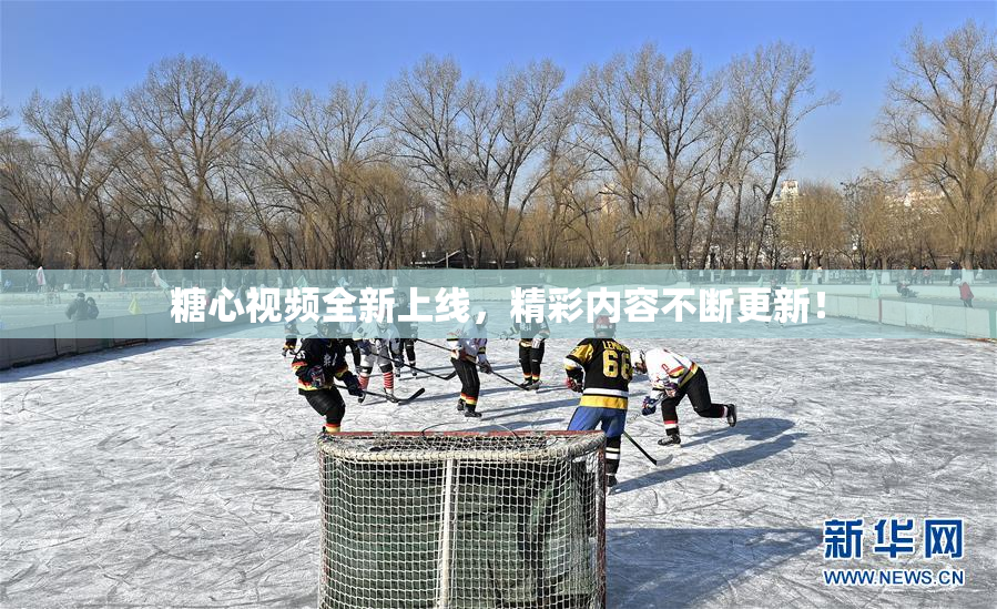 糖心视频全新上线，精彩内容不断更新！