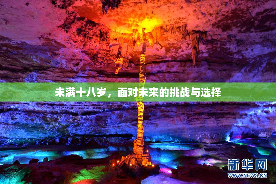未满十八岁，面对未来的挑战与选择