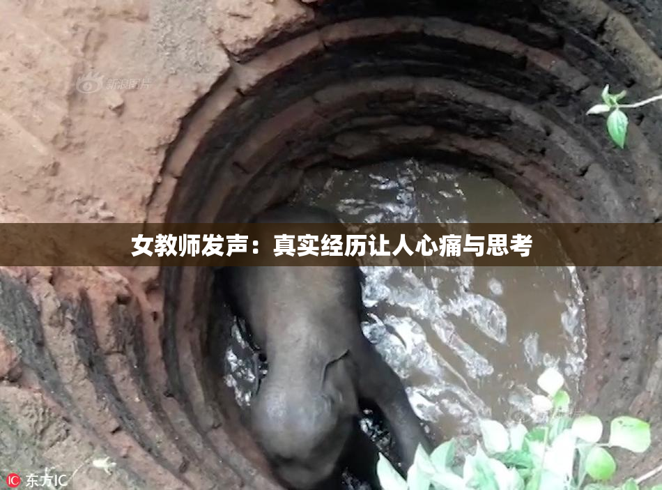女教师发声：真实经历让人心痛与思考