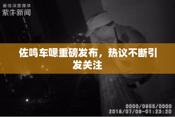 佐鸣车嗯重磅发布，热议不断引发关注