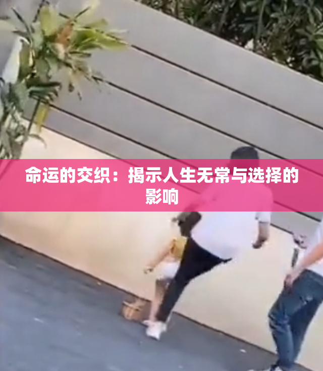 命运的交织：揭示人生无常与选择的影响