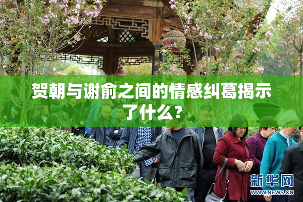 贺朝与谢俞之间的情感纠葛揭示了什么？