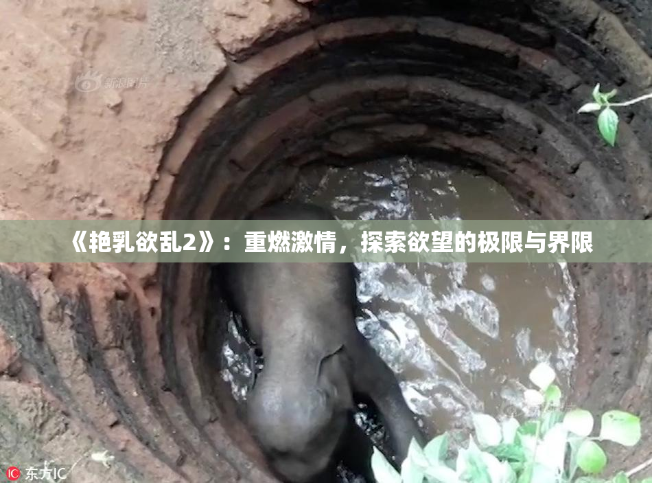 《艳乳欲乱2》：重燃激情，探索欲望的极限与界限