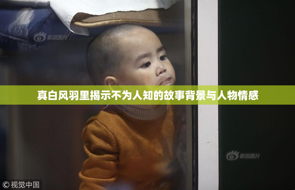 真白风羽里揭示不为人知的故事背景与人物情感