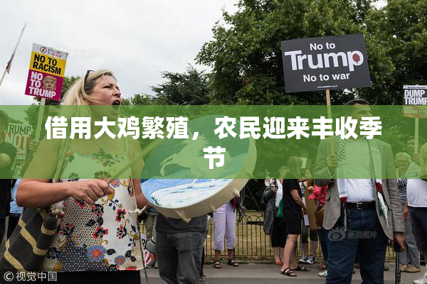 借用大鸡繁殖，农民迎来丰收季节