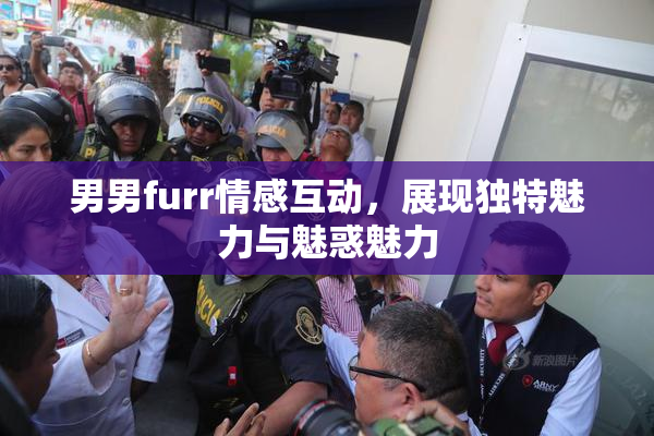 男男furr情感互动，展现独特魅力与魅惑魅力