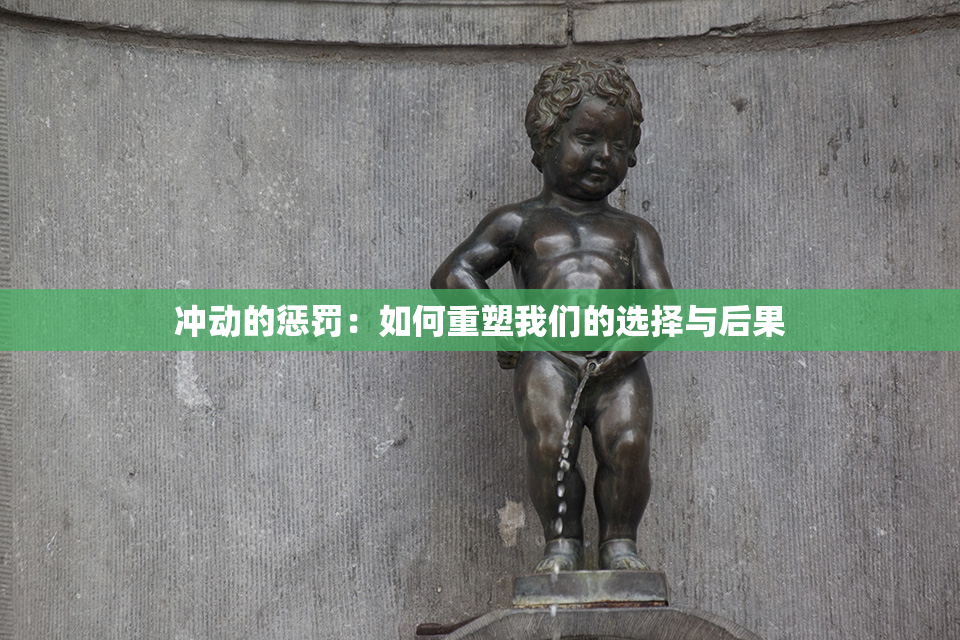 冲动的惩罚：如何重塑我们的选择与后果