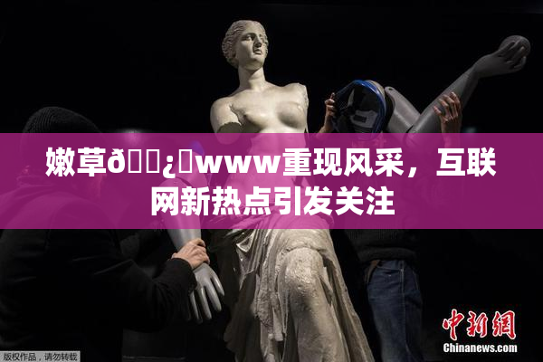 嫩草🌿‌www重现风采，互联网新热点引发关注