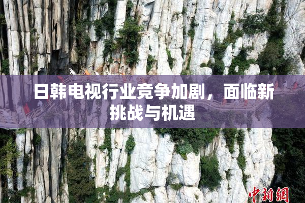 日韩电视行业竞争加剧，面临新挑战与机遇