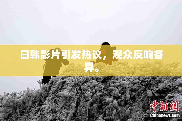 日韩影片引发热议，观众反响各异。
