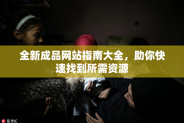 全新成品网站指南大全，助你快速找到所需资源