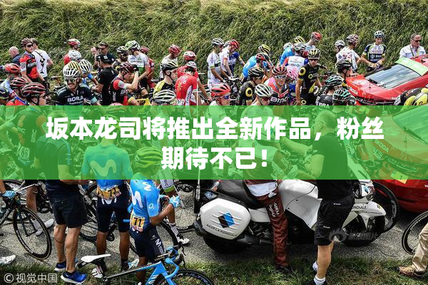 坂本龙司将推出全新作品，粉丝期待不已！