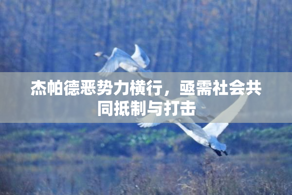 杰帕德恶势力横行，亟需社会共同抵制与打击