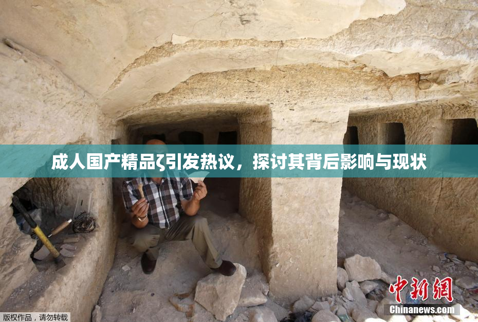 成人国产精品ζ引发热议，探讨其背后影响与现状