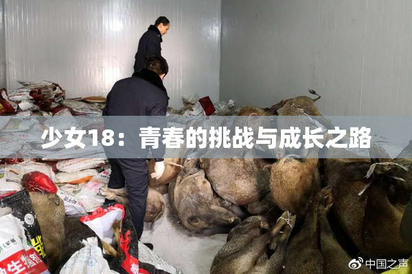 少女18：青春的挑战与成长之路