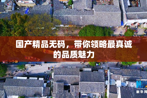 国产精品无码，带你领略最真诚的品质魅力