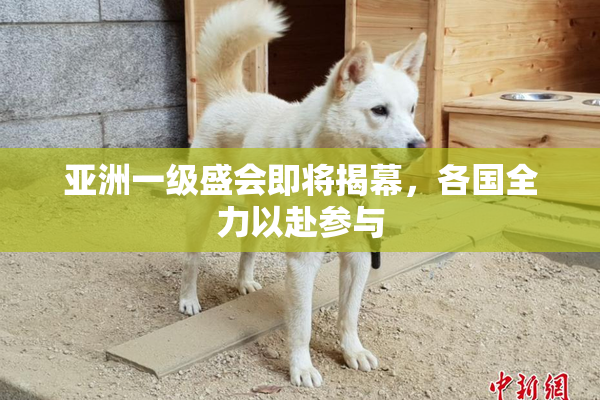 亚洲一级盛会即将揭幕，各国全力以赴参与