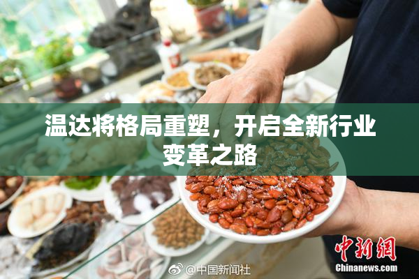 温达将格局重塑，开启全新行业变革之路