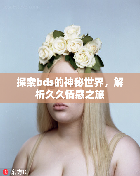 探索bds的神秘世界，解析久久情感之旅