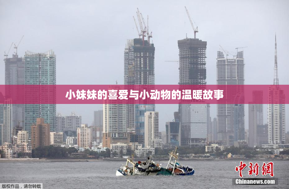 小妹妹的喜爱与小动物的温暖故事