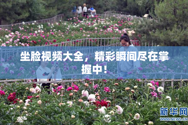 坐脸视频大全，精彩瞬间尽在掌握中！