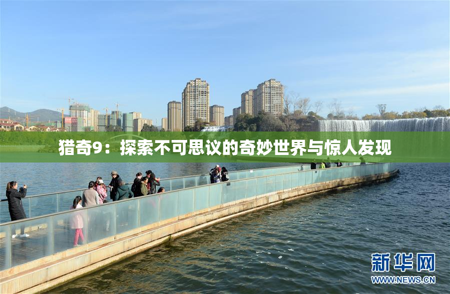 猎奇9：探索不可思议的奇妙世界与惊人发现