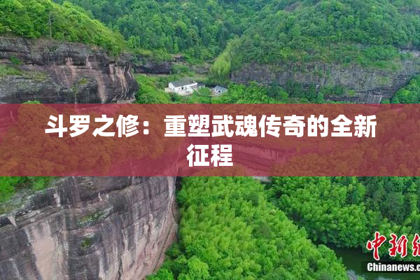 斗罗之修：重塑武魂传奇的全新征程