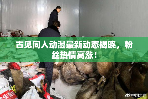 古见同人动漫最新动态揭晓，粉丝热情高涨！