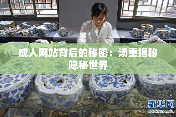 成人网站背后的秘密：汤重揭秘隐秘世界