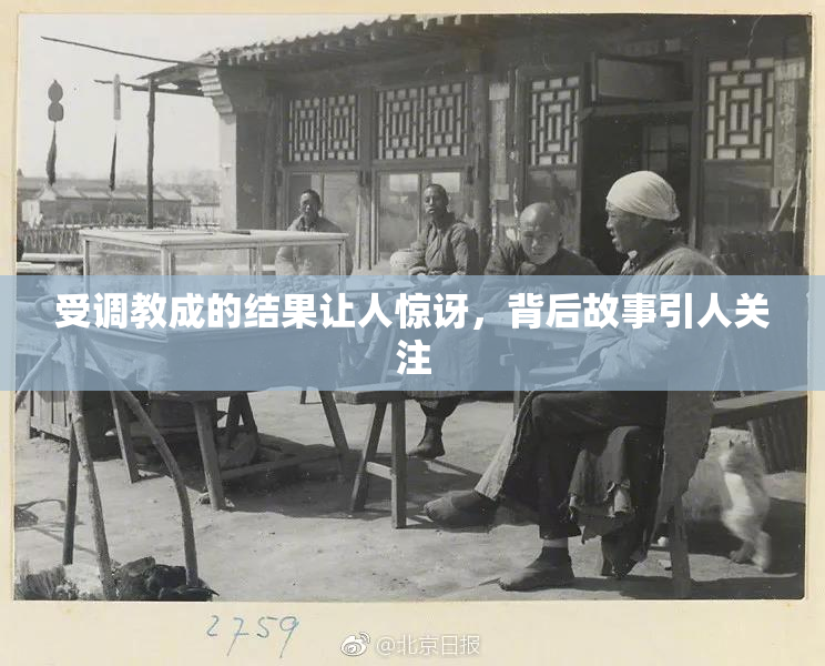受调教成的结果让人惊讶，背后故事引人关注
