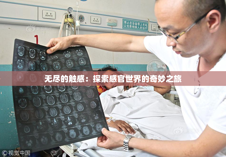 无尽的触感：探索感官世界的奇妙之旅