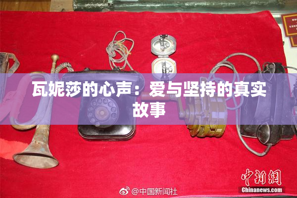 瓦妮莎的心声：爱与坚持的真实故事