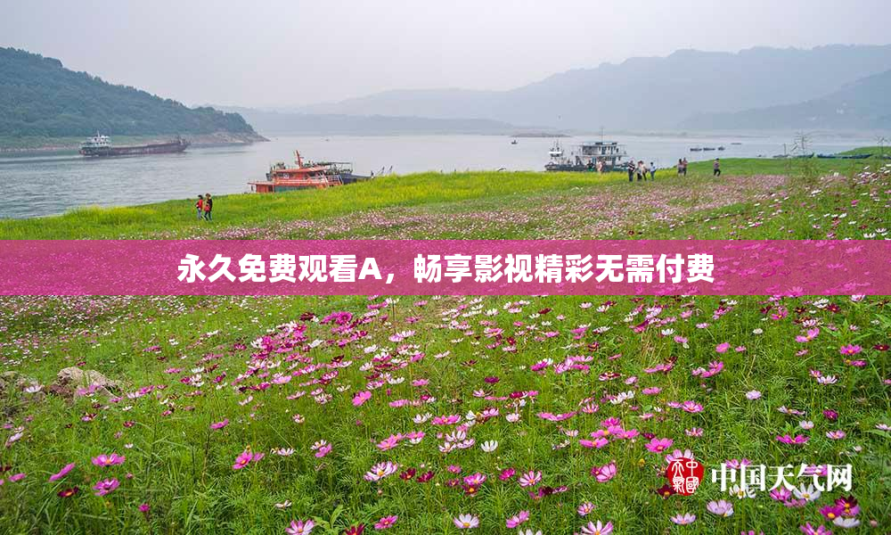 永久免费观看A，畅享影视精彩无需付费