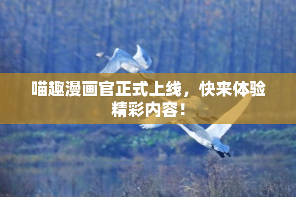 喵趣漫画官正式上线，快来体验精彩内容！