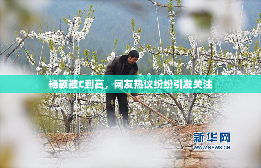 杨颖被C到高，网友热议纷纷引发关注