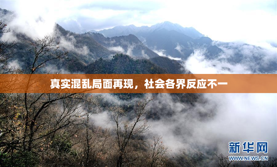 真实混乱局面再现，社会各界反应不一