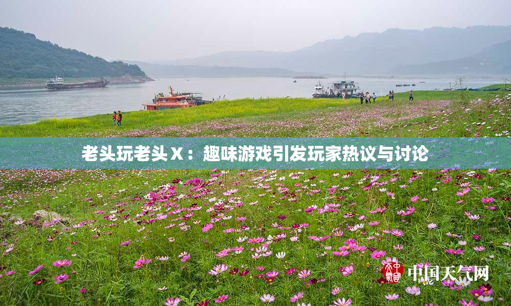 老头玩老头Ⅹ：趣味游戏引发玩家热议与讨论