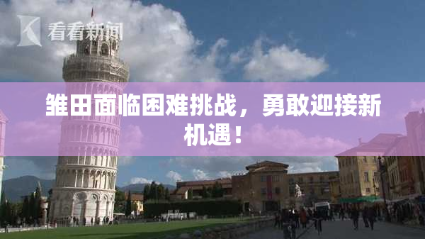 雏田面临困难挑战，勇敢迎接新机遇！